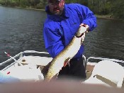 Lake Nokomis Musky Fishing